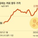 김하경커피