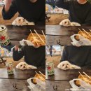 [#경성회센터] 제주 한림 회포장 전문점!고등어·딱새우 포장 후기(경성수산)
