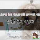 밀레쥬 이미지