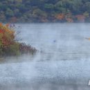 고요한 아침 이미지