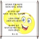 임실 신덕 첫 모내기 이미지