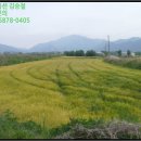 창리마을  용두마을 이미지