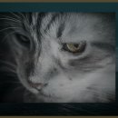 인천도호부청사 | 도호부청사 체험 후기: 예술과 역사의 만남