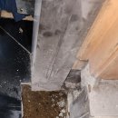 동백중앙로 이미지