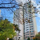 보라현대모닝공인중개사사무소 | 보라동 현대모닝 2차 54평형 매매