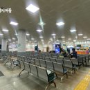꿀꿀노래연습장 | [캠핑쩔지]퀸제누비아호 제주도 차량선적 금액 및 상세후기 이걸로 종결 |다인침대석