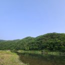 황금박쥐캠핑장 이미지