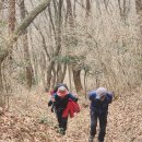 목우암 | 무안 승달산,목우암 봄길에 봄비가내렸어요.