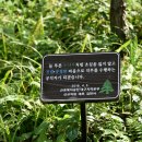 수도녹색숲모티길 이미지