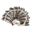 이조미가 이미지