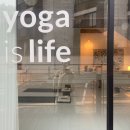 요가(심화) | 요가영양학 #이팅요가#심화수업후기