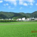 사환2길 이미지