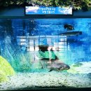 고궁펜션민박 이미지