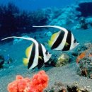 아름다운바다 이미지