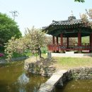 면천군자정 이미지