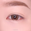 렌즈타운 이미지