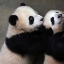 태영프린팅 - 고양시 일산동구 | 태영프린팅