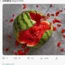 짱돌 - 경주시 | 짱돌