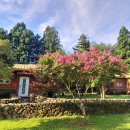 붉은오름자연휴양림2 이미지