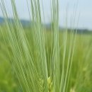 탄금공원 이미지