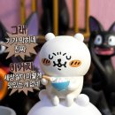 우리투어 이미지