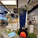 몰리스 놀이터/호텔 이미지