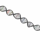 네츄럴 바디 휘트니스 이미지