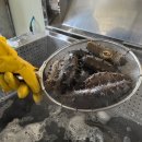 청정영어조합법인 이미지