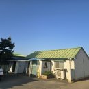 에덴횟집 | 전주 에덴수산 향어횟집 후기｜전주수목원 근처 로컬맛집