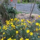 MBG해피하우스 이미지