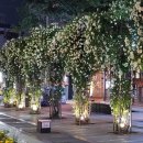 중앙로역 3번출구 이미지