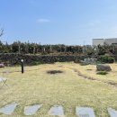 표선면-13 이미지