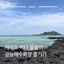 빅 애바다 유통 | 제주도 바다 금능해수욕장 해변 샤워 주차 투명카약 개장 정보 총 정리