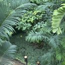 거제식물원 | 거제도 실내 가볼만한 곳 거제식물원 방문 후기