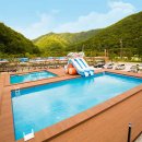 자연숲 펜션 이미지