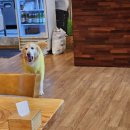 삼강양대창 이미지