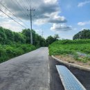 자유로 베이커리 이미지