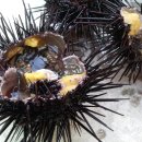 지수네 민박 이미지