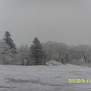 진고개목장 이미지