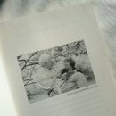 나를 본다 이미지