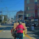 대호지책나래작은도서관 이미지