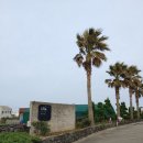 제주도 커플펜션 루나마르 이미지