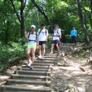트레일(Trail) 이미지