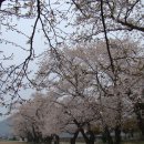 아산초등학교 이미지