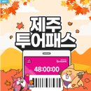 승마체험코스 이미지