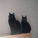 뉴안경마트 이미지