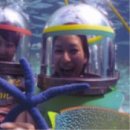 해구농장 이미지