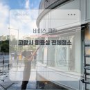 바이스클린