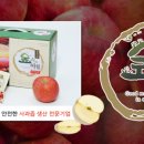 숲속의아침사과