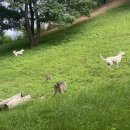 덕현목장 이미지